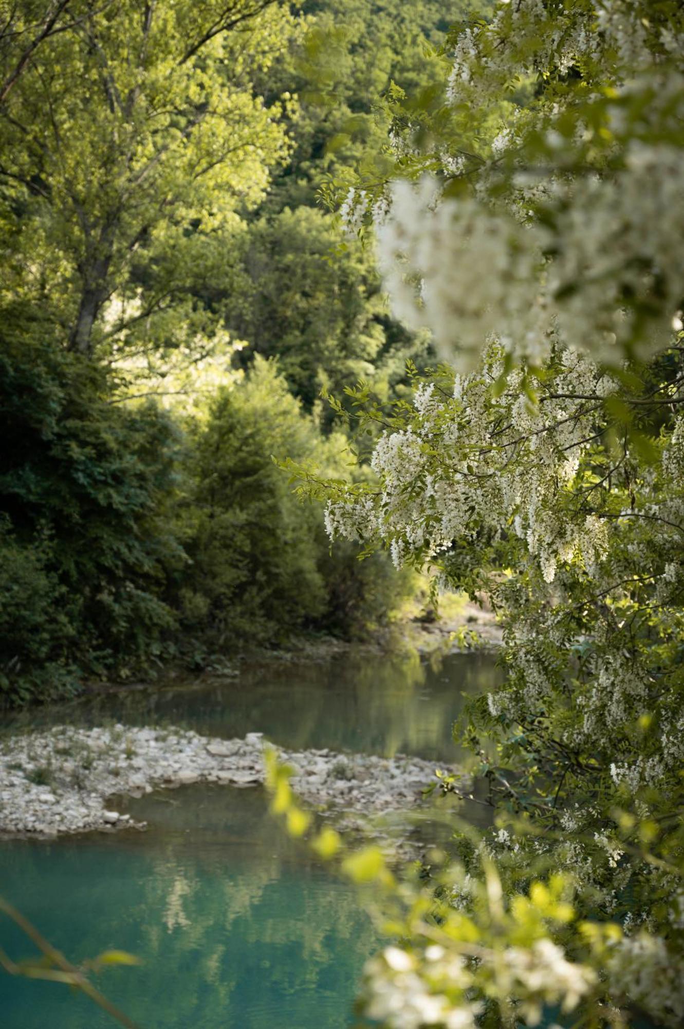 Glamping Dragonja River Šmarje 外观 照片